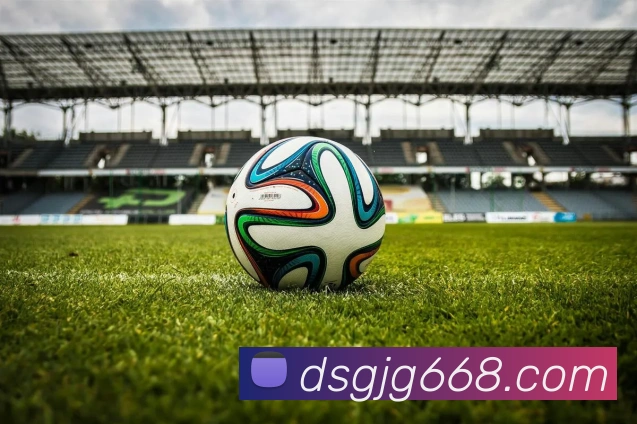 东升国际服务体系